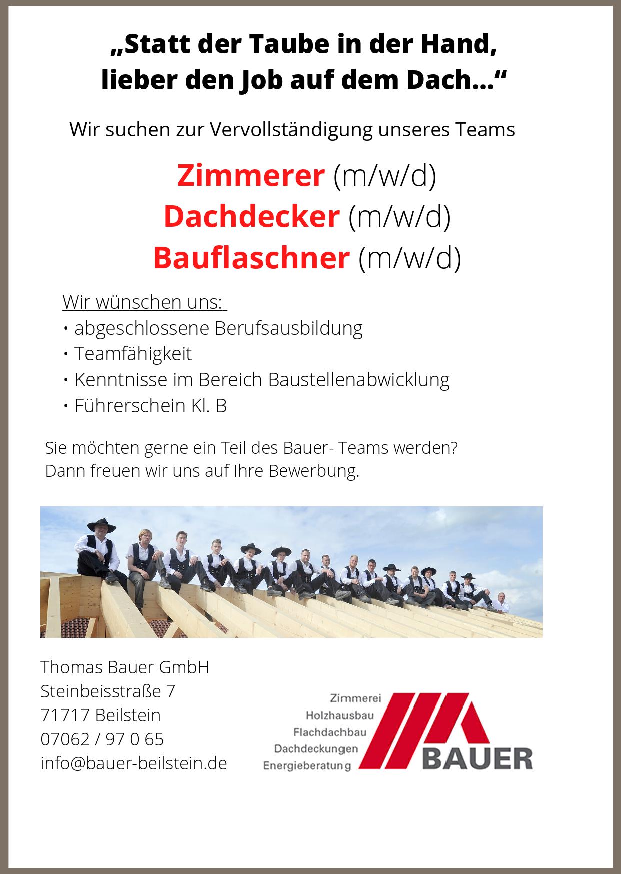 Stellengesuch Zi D B